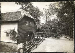 (5230) Domein Bokrijk - Watermolen Uit Lummen - Diepenbeek