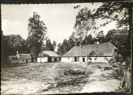 (5231) Domein Bokrijk - Grote Kempische Hoeve Uit Cevel - Diepenbeek