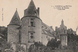 MIREBEAU-en-POITOU. -  Le Château De Coussay - Mirebeau