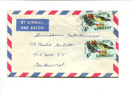 SAINT VINCENT - Affranchissement Sur Lettre Par Avion - Oiseaux - St.Vincent (...-1979)