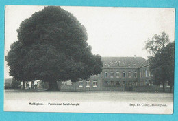 * Maldegem (Oost Vlaanderen) * (Impr. Fr. Cabuy) Pensionnat Saint Joseph, Pensionaat, Arbre, Tree, Old, Rare - Maldegem