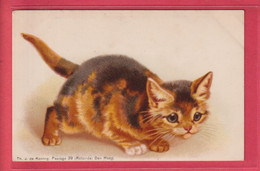 1900'S OLD LITHO  POSTCARD - GREAT CAT IMAGE BY DUTCH ED. KONING DEN HAAG (2) - Gatti