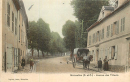 MOISSELLLES Avenue Des Tilleuls - Moisselles