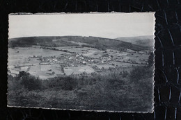 &-269 / Roanne, Panorama Vu De La Fagne ( L'Ardenne Pittoresque ) / - Amblève - Amel