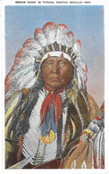 Chef Indien - Indian Chief In Typical Festive Regalia - Costume Coiffe Plumes  - - Native Americans