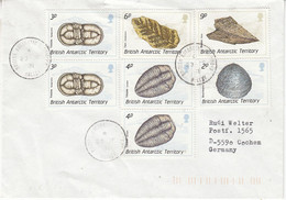 British Antarctic Territory (BAT) 1991 Cover Ca Halley 23 DE 91 (BAT320A) - Briefe U. Dokumente