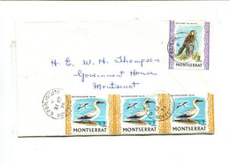 MONTSERRAT - Affranchissement Sur Lettre - Oiseaux / Faucon / - Arends & Roofvogels