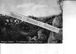 Prov.di VITERBO -- BOMARZO --  Il Caratteristico Panorama Del Paese - Viterbo