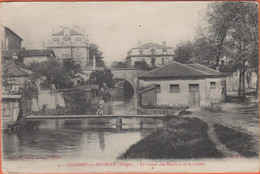 D88 - CHARMES SUR MOSELLE - LE CANAL DES MOULINS ET LE LAVOIR - Homme Avec Un Chien Sur Le Petit Pont - Charmes