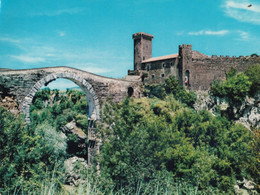 Ponte Etrusco Dell'abbadia - Formato Grande Viaggiata – FE390 - Viterbo