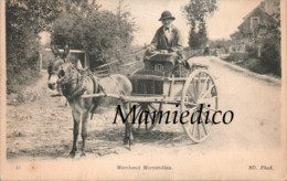AVALLON  Marchand Morvandiau Sur Sa Charrette Attelée à Son âne Superbe Plan Et TBE. 1922 - Vendedores Ambulantes