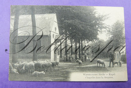 Waasmunster Heide. Schaapherder Berger (Laekense Herder) Chapelle Dans La Bruyère. 1913 (vroege Uitgifte) - Waasmunster