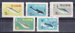 North Korea 1961 Fish Mi#293-297 Used - Corée Du Nord