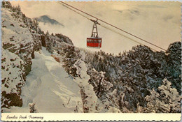 New Mexico Albuquerque Beautiful Sunset From Sandia Peak Tramway - Albuquerque