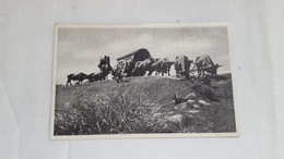 Delcampe - ANTIQUE POSTCARD URUGUAY MONTEVIDEO - MONUMENTO A LA CARRETA UNCIRCULATED - Uruguay