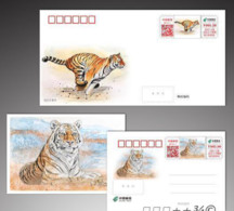 China 2022 ,The Chinese Zodiac Year Of The Tiger,Color Ts71 Postage Machine Postmark(ATM) With Tiger,1 Cover And 1 Postc - Unused Stamps