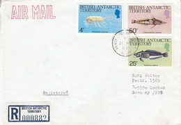 British Antarctic Territory (BAT) 1990 Registered Cover Ca Halley 20 FE 90 (BAT323) - Covers & Documents