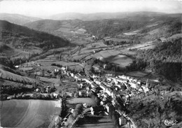 81-VIANE- PANORAMA - Autres & Non Classés