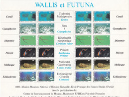 Feuillet Neuf Sans Gomme (d'origine?), Corail, Mollusque, Poisson, Diatomée.... - Unused Stamps