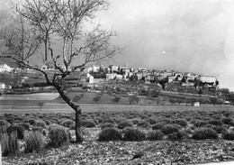 84-SAULT-VUE GENERALE - Autres & Non Classés