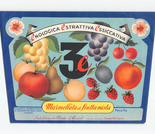 014109 "(AP) STABILIMENTO PORTO D'ASCOLI - SEDE MILANO - MARMELLATA DI FRUTTA MISTA" ETICHETTA. III Q. XX SECOLO - Frutta E Verdura