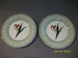 2 X Porseleinen Borden - The Royal Horticultural Society - Applebee Collection - Plates