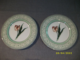 2 X Porseleinen Borden - The Royal Horticultural Society - Applebee Collection - Borden