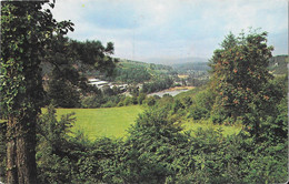 Vale Of Avoca, Co. Wicklow - Wicklow