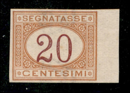 Regno - Umberto I - 1894 - 20 Cent Segnatasse (22g) - Non Dentellato - Bordo Di Foglio - Gomma Integra - Autres & Non Classés