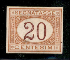 Regno - Umberto I - 1894 - 20 Cent Segnatasse (22g) - Non Dentellato - Gomma Originale - Autres & Non Classés