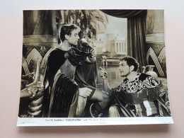 Cecile B. DeMille's " CLEOPATRA " With Claudette COLBERT, Warren WILLIAM, Henry WILCOXON ! - Fotos