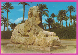 275172 / Egypt - Giza - The Sphinx Of Sakkara , Egypte Agypten Egitto Egipto - Sphinx