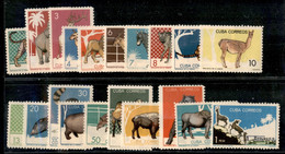OLTREMARE - CUBA - 1964 - Animali Dello Zoo Havana (949/968) - Serie Completa - Gomma Integra - Autres & Non Classés