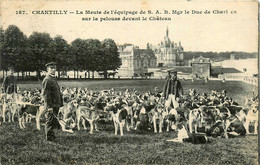 Chantilly * La Meute De L'équipage De SAR Mgr Le Duc De Chartres * Sur La Pelouse Devant Château * Vénerie Chasse - Chantilly