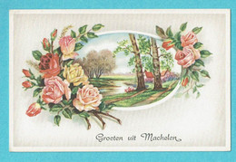 * Machelen (Vlaams Brabant) * (Colorprint 53849/1) Groeten Uit Machelen, Fantaisie, Fleurs, Graine De Roses, Old - Machelen