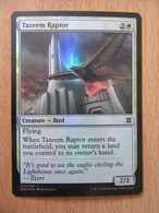 Magic The Gathering - Tazeem Raptor (Rapace De Tazeem) FOIL EN - Renaissance De Zendikar - TBE - Cartes Blanches