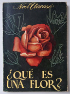 ¿Que Es Una Flor? - Noel Claraso - Ediciones G.P. - Enciclopedia Pulga (14) - Sonstige & Ohne Zuordnung