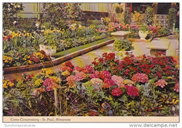 Minnesota St Paul Floral Display Inside Como Conservatory At Annual Spring Flower Show - St Paul