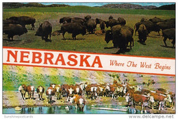 Nebraska Where The West Begins Herd Of Buffalo And White Faced Herefords At Round Up Time - Otros & Sin Clasificación