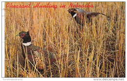 Nebraska Pheasant Hunting Season - Other & Unclassified