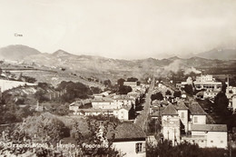 Cartolina - Ozzano Monferrato - Lavello - Panorama - 1950 Ca. - Alessandria