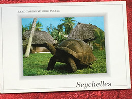 CPSM-☛Carte Postale Thème Animaux & Faune Tortue Tortues-☛Seychelles Land Tortoise, Bird Island-☛La Garenne Colombes- - Tortugas