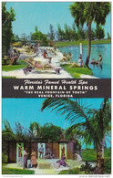 Florida Venice Warm Mineral Springs Health Spa - Venice