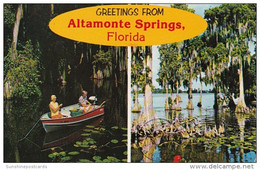 Florida Greetings From Altamonte Springs 1984 - Orlando