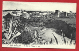 CARTOLINA NV TUNISIA - SIDI BOU SAID Un Coin Du Village 1915 - 9 X 14 - Tunesien