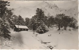 LE MONT DORE   SANCY  63 PUY DE DOME  CPSM - Le Mont Dore