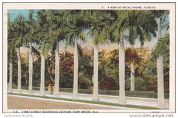 Florida Fort Myers Palm Lined First Street Residence Section Curteich - Fort Myers