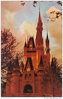 Florida Orlando Walt Disney World Fantasyland Cinderella Castle - Orlando