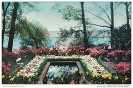 Alabama Mobile Bellingrath Gardens The Pool 1954 - Mobile