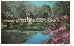 Alabama Mobile Bellingrath Gardens Rustic Bridge Over Mirror Lake - Mobile